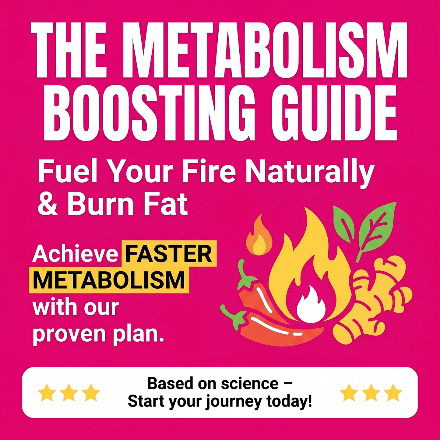 Meta Boosters Guide